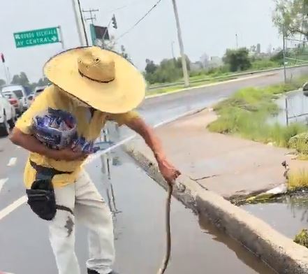 VIDEO: ‘Qué valor…’; vendedor de dulces controla y reubica a una víbora en la carretera