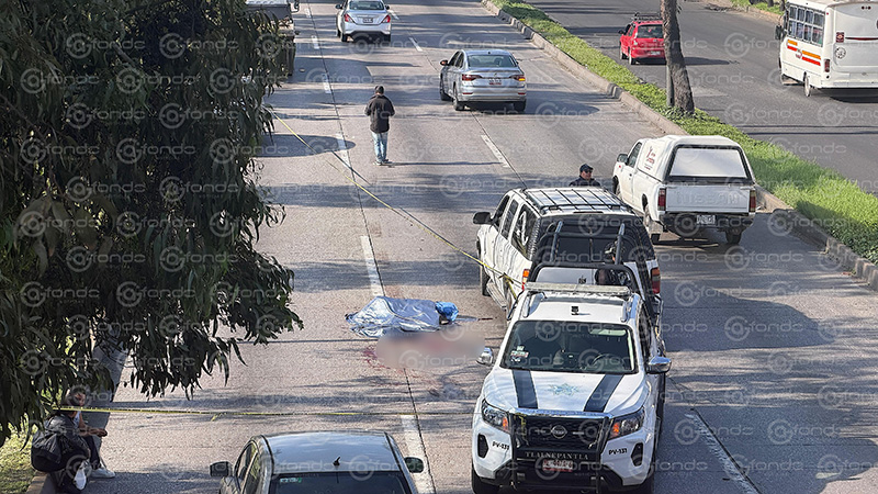 TRAGEDIA. Ricardo siguió por varios kilómetros a una tolva que golpeó su coche, sin saber que acabaría muerto