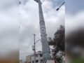 URGENTE: Rescatan a señor sin playera que subió a un poste del Cablebús