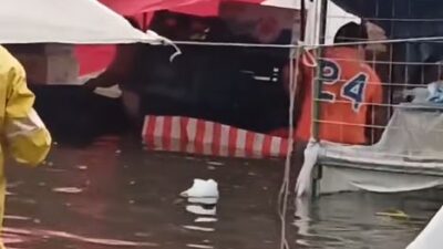 VIDEO: ‘Vengan a ayudarnos’; tianguistas pierden todo tras tormenta en Edomex