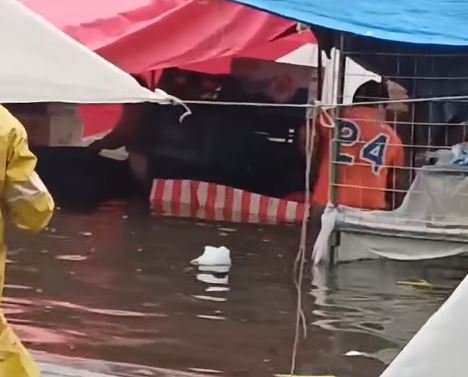 VIDEO: ‘Vengan a ayudarnos’; tianguistas pierden todo tras tormenta en Edomex