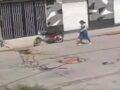 VIDEO: ‘¡Ladrooooón!’; sujeto con mandil intenta robar una moto y luego huye