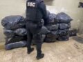 VIDEO: Encuentran media tonelada de ‘hierba’ en un departamento; un reo sería el responsable