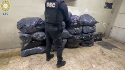 VIDEO: Encuentran media tonelada de ‘hierba’ en un departamento; un reo sería el responsable