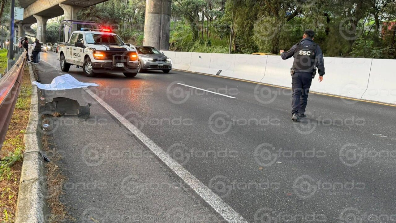 VIDEO: Hombre no logró llegar al otro lado de la carretera y murió arrollado