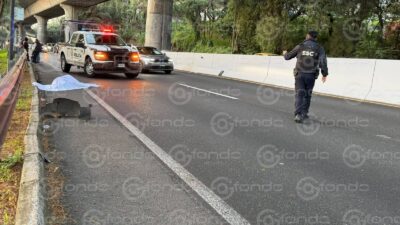 VIDEO: Hombre no logró llegar al otro lado de la carretera y murió arrollado
