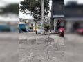 URGENTE: Se repite el horror; un perro llevaba una pierna humana en el hocico