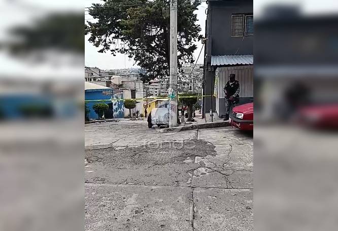 URGENTE: Se repite el horror; un perro llevaba una pierna humana en el hocico