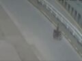 VIDEO: Motociclista pierde el control en  un puente vehicular y muere al caer varios metros