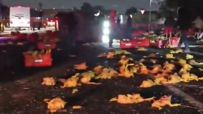 VIDEO: Una camioneta cargada con pollo y otra de queso terminaron volcadas en la autopista