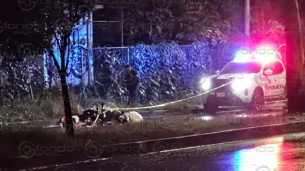 VIDEO: Motociclista viajaba solo por la noche cuando un conductor lo mató