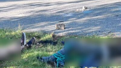 MACABRO: Acusan de secuestro a tres sujetos y luego los encuentran muertos en la carretera