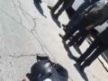 VIDEO. El casco no salvó la vida de un joven biker que murió accidentado en Ixtapaluca