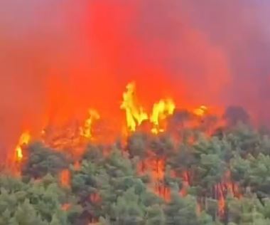 VIDEO: Helicópteros chocan en el aire cuando combatían un incendio forestal