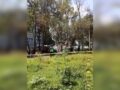 URGENTE: Hombre sin ropa elige un enorme árbol como última morada