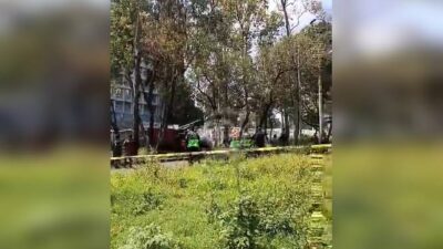 URGENTE: Hombre sin ropa elige un enorme árbol como última morada