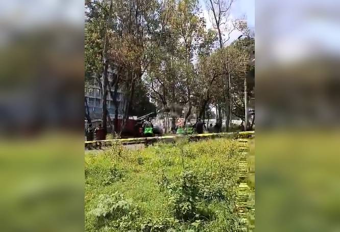 URGENTE: Hombre sin ropa elige un enorme árbol como última morada
