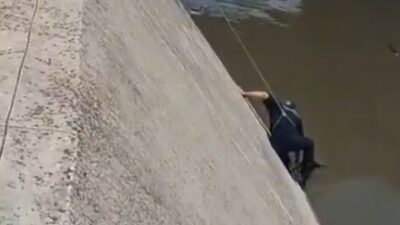 VIDEO: ¡Héroes!; perrito ladraba desesperado en el canal y policías se unen para salvarlo