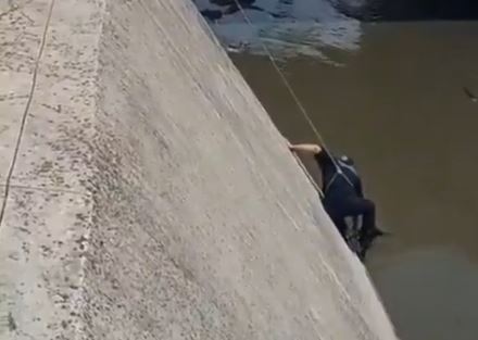 VIDEO: ¡Héroes!; perrito ladraba desesperado en el canal y policías se unen para salvarlo