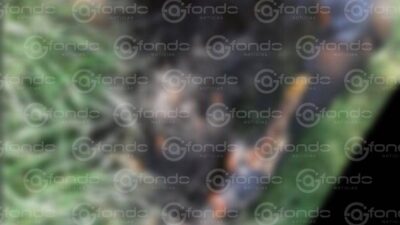 FEMINICIDIO #72: Encuentran el cuerpo calcinado de una mujer junto a un solitario camino