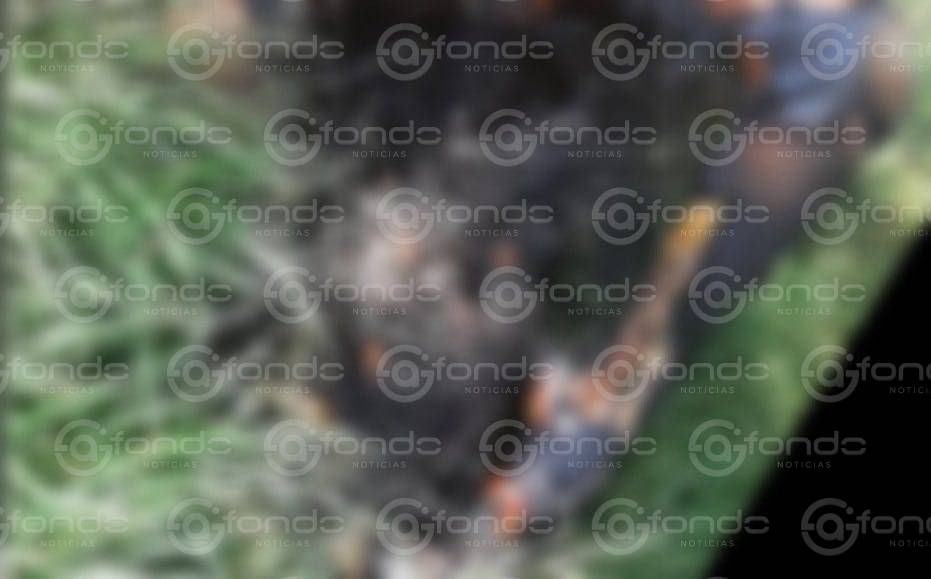 FEMINICIDIO #72: Encuentran el cuerpo calcinado de una mujer junto a un solitario camino