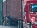 VIDEO. Sujeto empuja sin motivo a un abuelo y éste muere arrollado por un tráiler