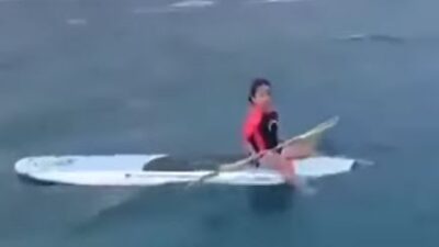 VIDEO: ‘¡Está sola!’; pescadores encuentran y rescatan a una niña ‘náufraga’