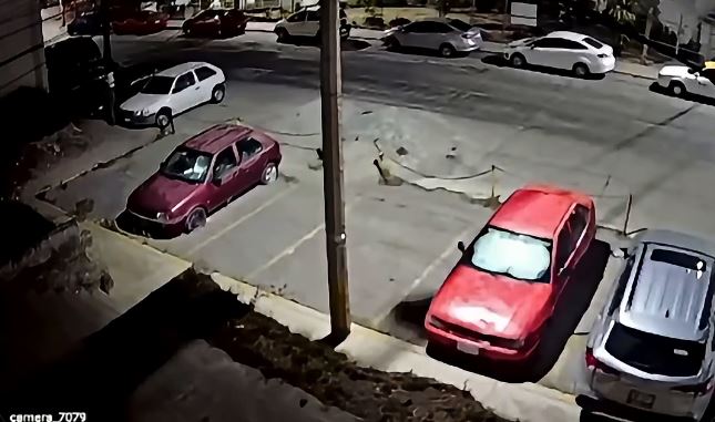 VIDEO: Mujer grita aterrada mientras un asaltante le quita sus pertenencias