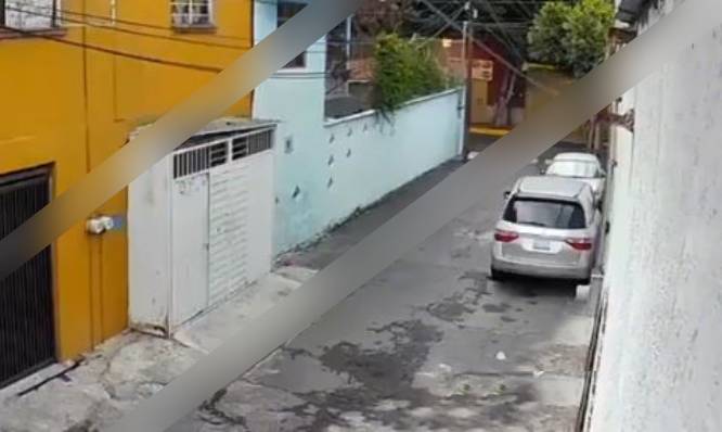 VIDEO: ‘¡Me voy a morir!’; Dieguito jugaba en la calle cuando lo atacó un bull terrier