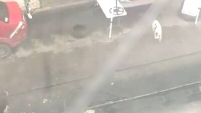 VIDEO: Sujeto armado detiene una pelea callejera con un disparo al aire