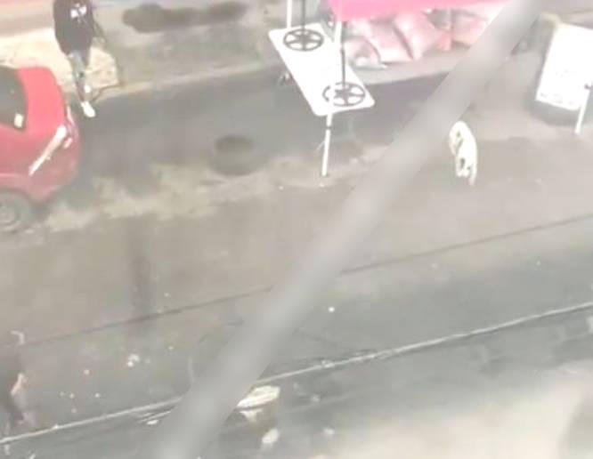 VIDEO: Sujeto armado detiene una pelea callejera con un disparo al aire