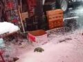 VIDEO: Tianguistas pierden mercancía y hasta puestos por granizada en Edomex