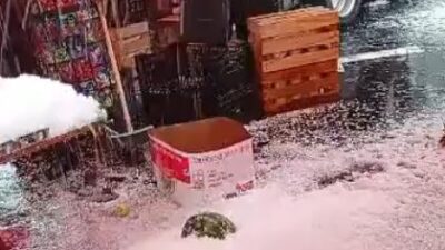 VIDEO: Tianguistas pierden mercancía y hasta puestos por granizada en Edomex
