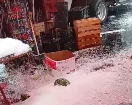 VIDEO: Tianguistas pierden mercancía y hasta puestos por granizada en Edomex