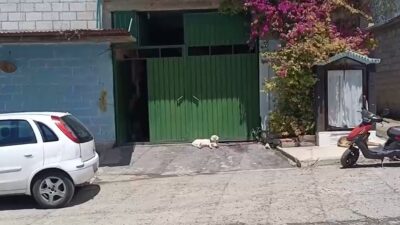 VIDEO. Comando armado de la Fiscalía entra a una casa, roba pertenencias y se lleva a hombres inocentes