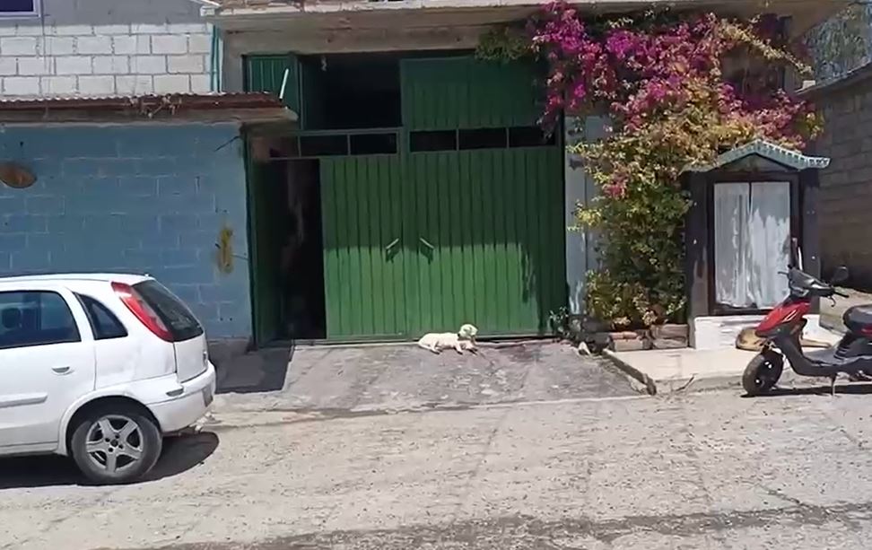 VIDEO. Comando armado de la Fiscalía entra a una casa, roba pertenencias y se lleva a hombres inocentes