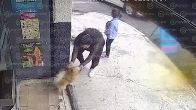 VIDEO. Madre e hija ‘secuestran’ un perrito en la CDMX; fueron grabadas por una cámara