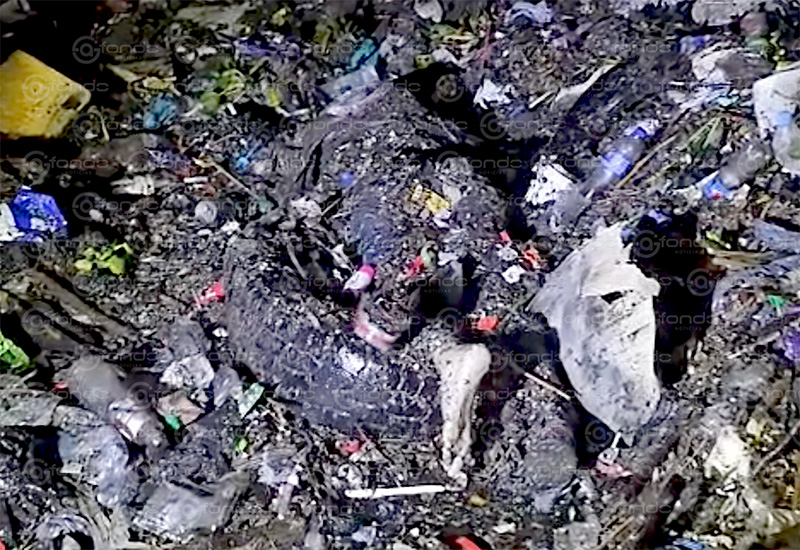 FEMINICIDIO #79. Madres buscadoras encuentran el cuerpo de una jovencita entre montones de basura en Edomex