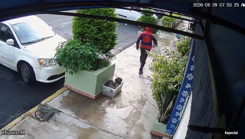 VIDEO: Sujeto vestido de Spider-Man abandona a seis cachorritos en la calle