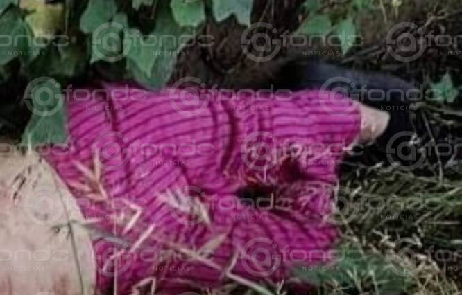 FEMINICIDIO #80. Encuentran cuerpo de una mujer desfigurada, sin piel en la cara y comida por animales