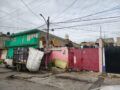 VIDEO: Enormes ratas salen de baños y coladeras; vecinos viven una pesadilla