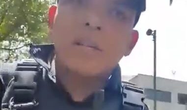 VIDEO: ‘Los voy a detonar’; policía amenaza a conductor con matar a sus perritos