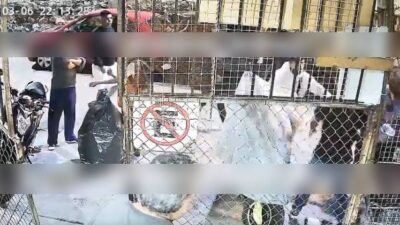 VIDEO: Jovencita lleva a sus amigos a matar a su ex porque no quería volver con ella