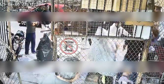 VIDEO: Jovencita lleva a sus amigos a matar a su ex porque no quería volver con ella