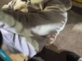 VIDEO: ‘¡Rómpele un dedo!’; ratero llora mientras recibe una lección de vecinos