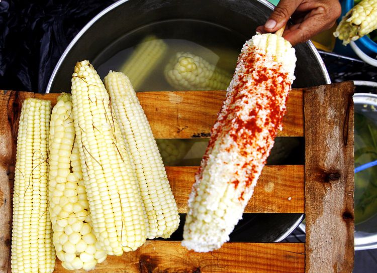 INCREÍBLE: Prohíben venta de elotes preparados durante celebración de ‘el grito’