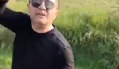 VIDEO: Conductor burlón mata a un perrito y se baja a patear el cadáver