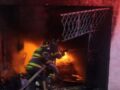 VIDEO: Mueren 14 perritos quemados; niños con ‘cuetes’ provocaron una explosión de gas
