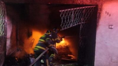 VIDEO: Mueren 14 perritos quemados; niños con ‘cuetes’ provocaron una explosión de gas