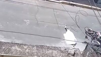 TERRIBLE: Joven motero muere en día festivo y la fiscalía cobra 13 mil por levantar el cuerpo